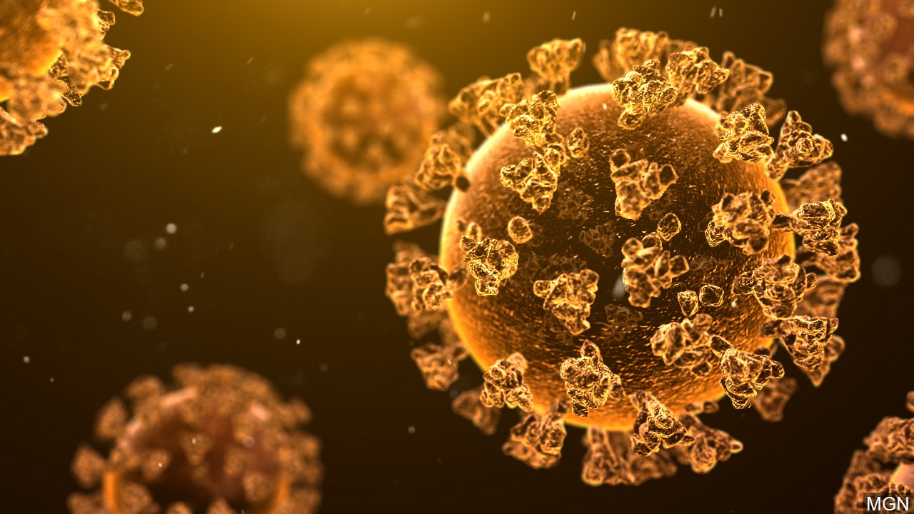 coronavirus-orange-right